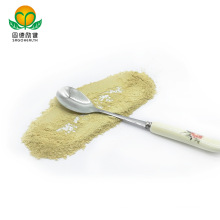 GMP Factory Competitive Food Additive Rutin Powder